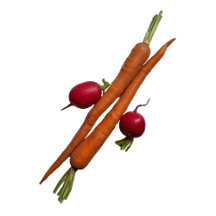 Funny Gardening Apron Collection