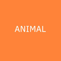 Animal