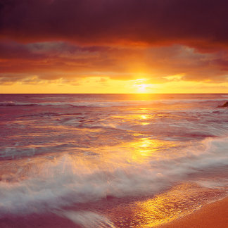 To the Beach