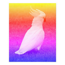 Colorful White Cockatoo
