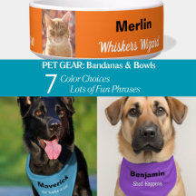 Pet Gear (Collars-Bandanas-Bowls) in Vibrant Color