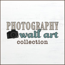 Photography | Wall Art