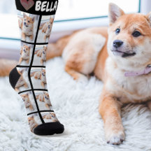 4U pets Lovers