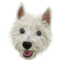 Scottish Sayings and Banter