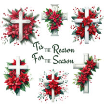 Tis the Reason For the Season