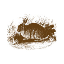 Lifestyle Home Decor