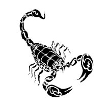Black Scorpion