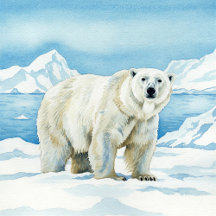 Wild Animals Postcards & Gifts Collection