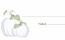 Rustic White Pumpkin Fall Watercolor Place Card
