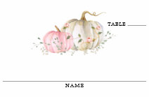 Fall Pumpkin Girl Baby Shower Table Place Card