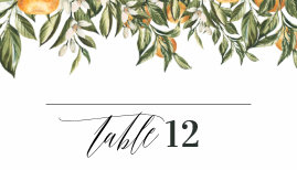 Citrus orange botanical modern rustic place card