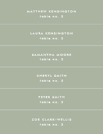 Minimal Sage Green Wedding Place Name Card