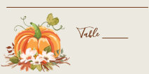 Rustic Pumpkin Place Card Autumn Fall Shower