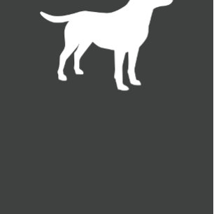 Labrador Baby Shower Gender Neutral Lab Invitation
