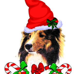 Shetland Sheepdog Christmas Holiday Card