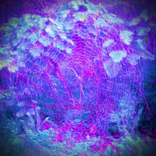 Orb Weaver/Among Roots, Hoodie