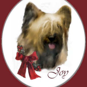Briard Christmas Gifts Holiday Card