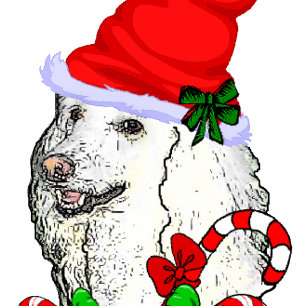 Cute Poodle Santa Christmas Holiday Card