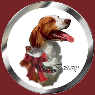 Brittany Spaniel Christmas Cards