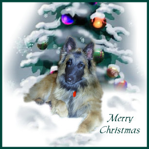 Belgian Tervuren Christmas Gifts Holiday Card