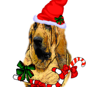 Cute Bloodhound Christmas Holiday Card