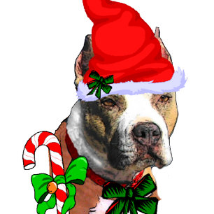 Cute Pit Bull Christmas Holiday Card