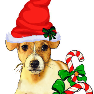 Cute Jack Russell Terrier Christmas Holiday Card