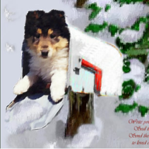 Tri-Colour Collie Puppy Christmas Gifts Holiday Card