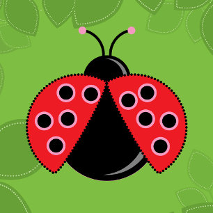 Ladybug 1st Birthday Invitation with picture