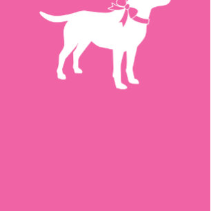 Labrador Dog Baby Shower Lab Pink Girl Invitation