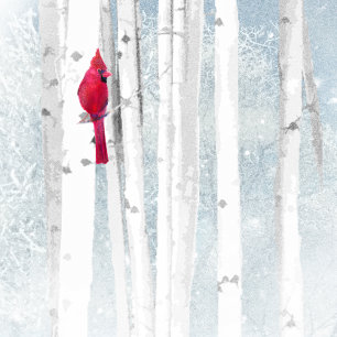 Christmas Season Winter Birch Trees Red Cardinal Holiday Card