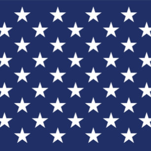 Patriotic Wedding Invitation - US Flag