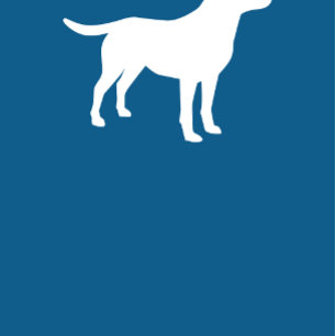 Labrador Dog Baby Shower Blue Boy Lab Invitation