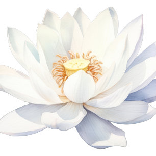 SPA Birthday Party Invitation