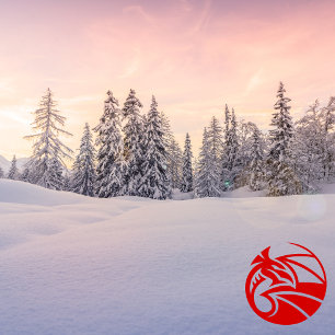 Slovenian Merry Christmas, Custom Holiday Card