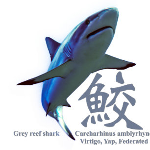Reef Shark Silhouette Whiskey Glass