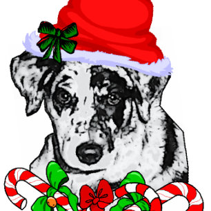 Catahoula Leopard Dog Christmas Gifts Holiday Card