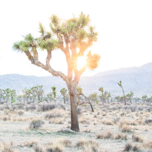 Modern Elegant Greenery Wedding Joshua Tree Wine Label
