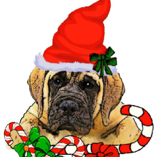 Cute English Mastiff Puppy Christmas Holiday Card