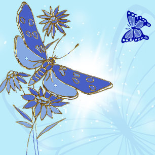 Blue Butterfly Banner
