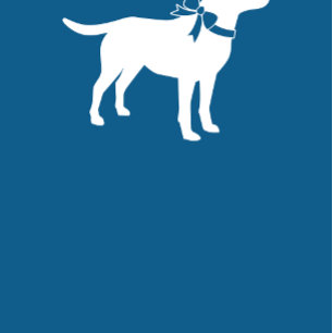 Labrador Dog Baby Shower Blue Boy Lab Invitation