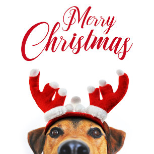 Cute Funny Christmas Dog Reindeer Antler Headband Foil Card