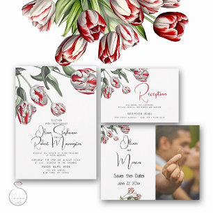 Wedding   Floral Red and White Rembrandt Tulips Tri-Fold Invitation