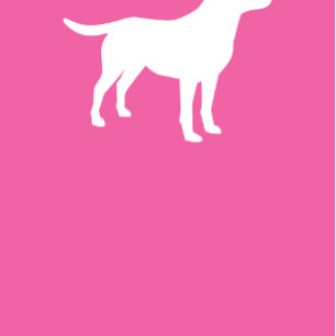 Labrador Dog Baby Shower Lab Pink Girl Invitation