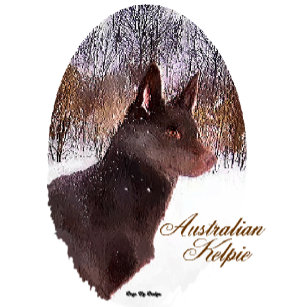 Australian Kelpie Christmas Cards Gifts