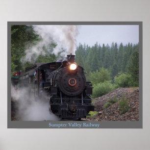 SVEGposter0701 Poster