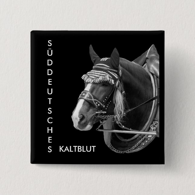 sw3526, SOUTH GERMAN, COLD BLOOD 15 Cm Square Badge (Front)