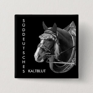 sw3526, SOUTH GERMAN, COLD BLOOD 15 Cm Square Badge