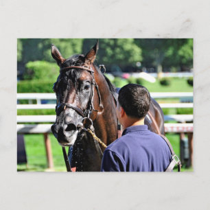 Swag Daddy gets a cold soaking after the race Postcard