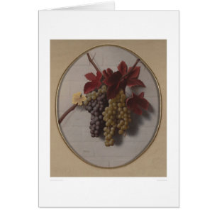 Swag of Grapes (1363)